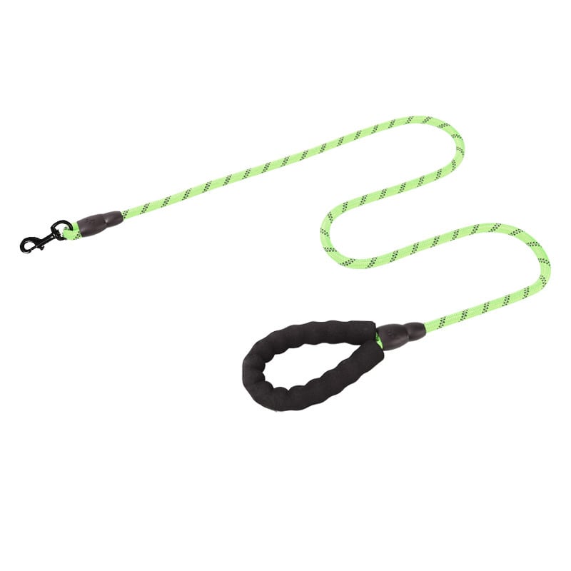 Pet dog leashes